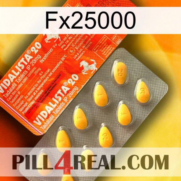 Fx25000 new01.jpg